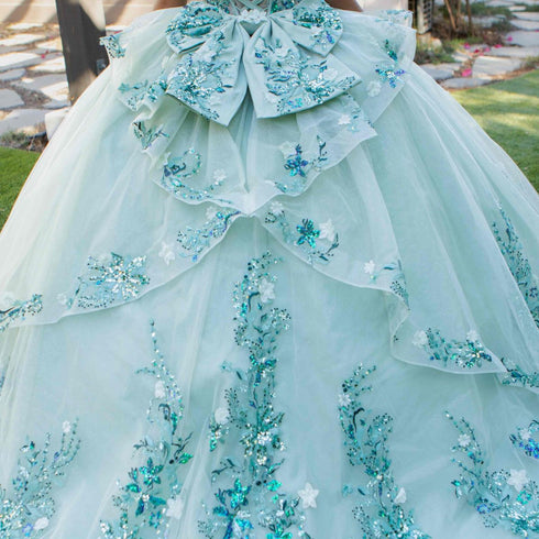 Enchanting Floral Details Quinceañera Ball Gown for Women, Sizes 4/XS-16/3X